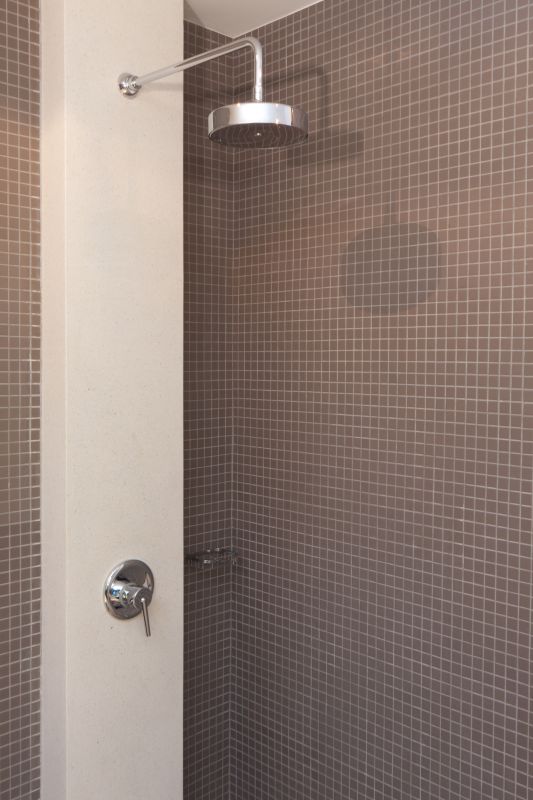 Showerhead Replacement in Denver, CO